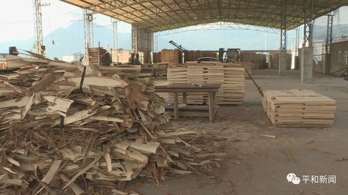 平和县多部门联合开展木材加工行业专项整治